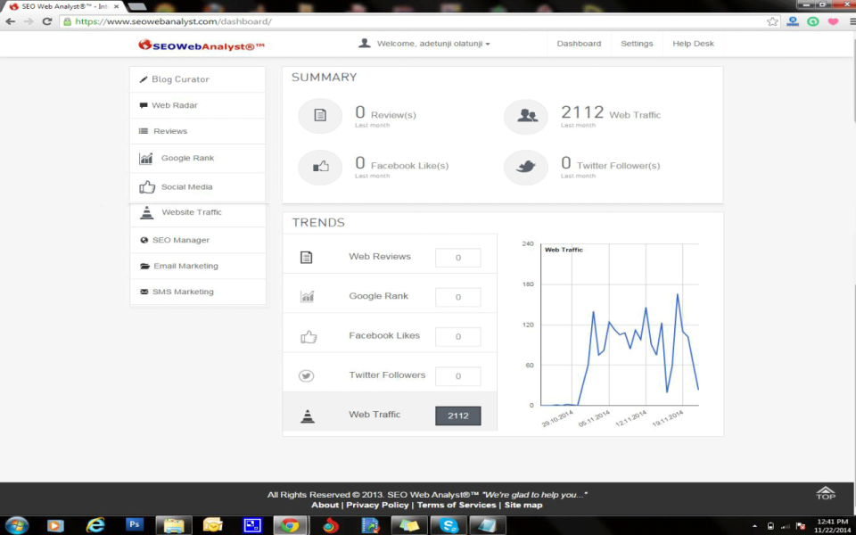 screenshot of SEO Web Analyst